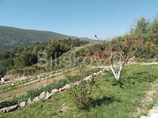 Gradevinsko zemljište, Prodaja, Omiš, Tugare
