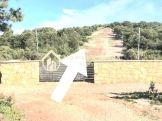 Agricultural plot, Sale, Tisno, Jezera