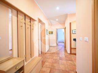 One-storey house, Sale, Poreč, Poreč