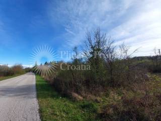 Agricultural plot, Sale, Slunj, Gornje Primišlje