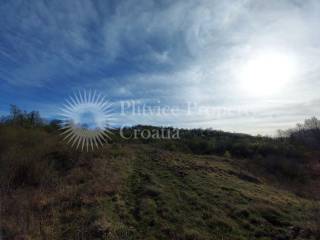 Agricultural plot, Sale, Slunj, Gornje Primišlje