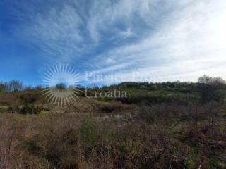 Agricultural plot, Sale, Slunj, Gornje Primišlje