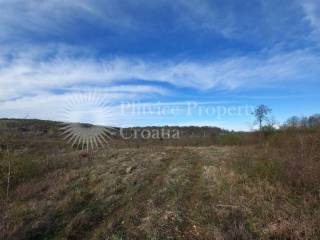 Agricultural plot, Sale, Slunj, Gornje Primišlje