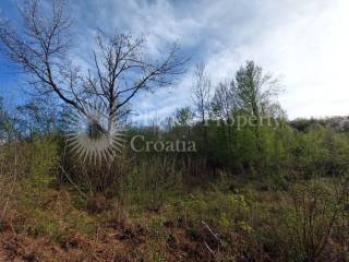 Agricultural plot, Sale, Slunj, Gornje Primišlje