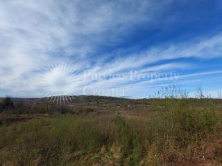 Agricultural plot, Sale, Slunj, Gornje Primišlje