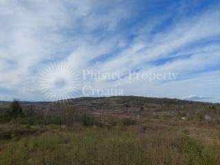 Agricultural plot, Sale, Slunj, Gornje Primišlje