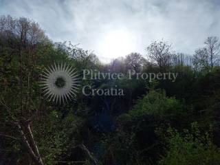 Agricultural plot, Sale, Slunj, Gornje Primišlje