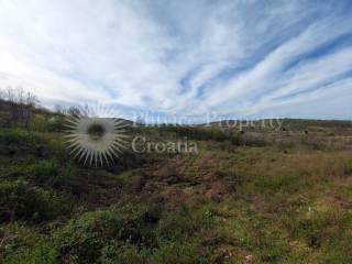 Agricultural plot, Sale, Slunj, Gornje Primišlje