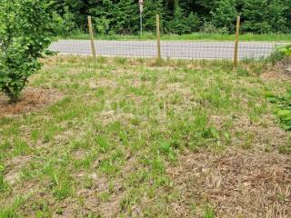 Land plot - other, Sale, Velika Ludina, Mustafina Klada