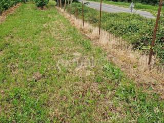 Land plot - other, Sale, Velika Ludina, Mustafina Klada