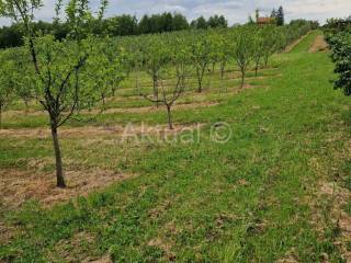 Zemljište - ostalo, Prodaja, Velika Ludina, Mustafina Klada