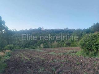 Agricultural plot, Sale, Cerovlje, Draguć
