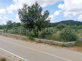 Agricultural plot, Sale, Vodice, Vodice