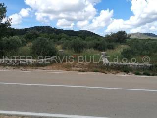 Agricultural plot, Sale, Vodice, Vodice