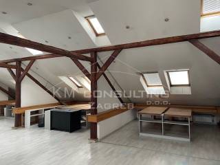 Office, Lease, Zagreb, Donji Grad