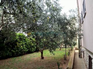 House with apartments, Sale, Sveti Filip i Jakov, Sveti Filip i Jakov