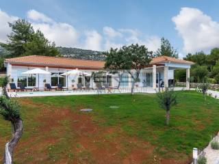 Modern Finca
