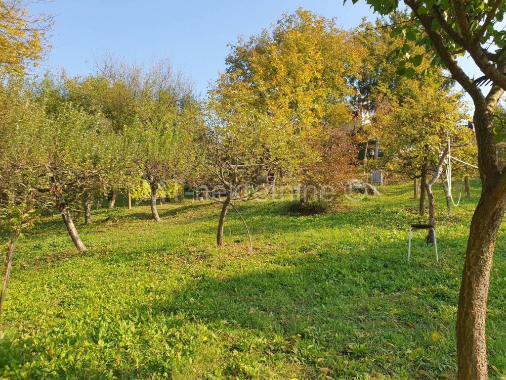 Veliko Trojstvo, Visnjevac