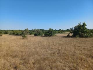 Agricultural plot, Sale, Vodnjan, Vodnjan