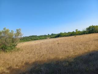 Agricultural plot, Sale, Vodnjan, Vodnjan