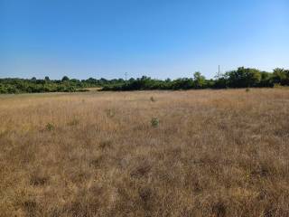 Agricultural plot, Sale, Vodnjan, Vodnjan