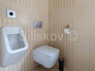 Luxury villa, Sale, Zagreb, Maksimir