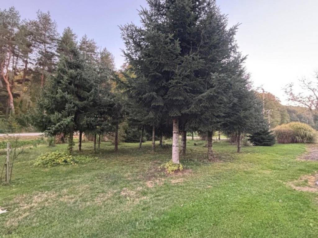 Berek, Podgaric