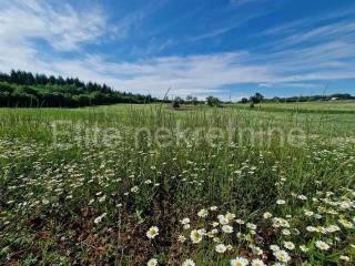 Agricultural plot, Sale, Vižinada, Markovići