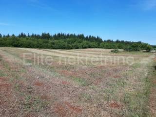 Agricultural plot, Sale, Vižinada, Markovići