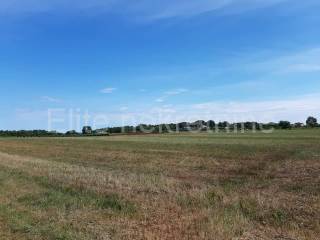 Agricultural plot, Sale, Vižinada, Markovići