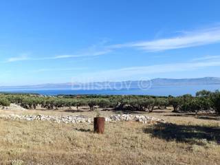 Agricultural plot, Sale, Supetar, Supetar