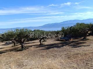Agricultural plot, Sale, Supetar, Supetar