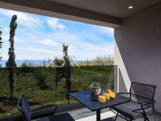 Villa, Sale, Privlaka, Privlaka
