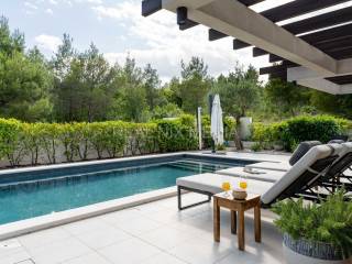 Luxury villa, Sale, Novigrad, Pridraga