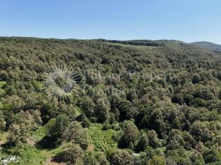 Agricultural plot, Sale, Barilovići, Barilović