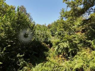 Agricultural plot, Sale, Barilovići, Barilović