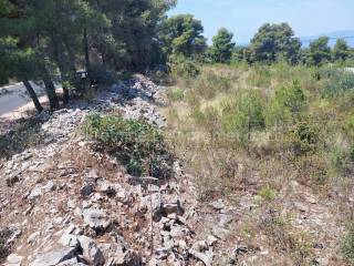 Agricultural plot, Sale, Sutivan, Sutivan