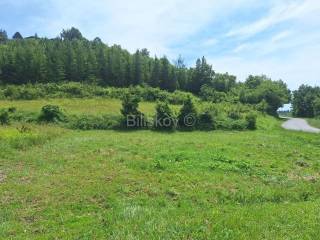 Detached house, Sale, Jastrebarsko - Okolica, Gornji Desinec