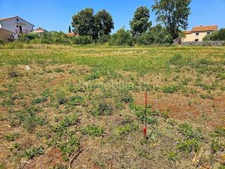 Plot for residential construction, Sale, Marčana, Šegotići