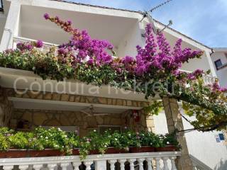 Samostojeca kuca, Prodaja, Privlaka, Privlaka