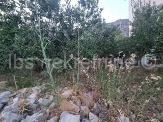 Semi-detached house, Sale, Dugi rat, Jesenice