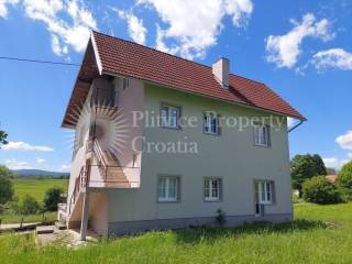 Family house, Sale, Rakovica, Rakovica