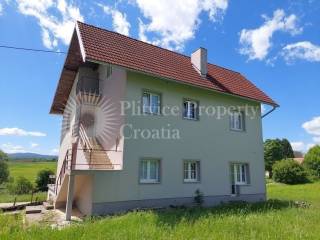 Family house, Sale, Rakovica, Rakovica