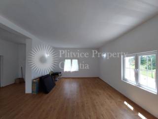Family house, Sale, Rakovica, Rakovica