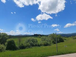 Family house, Sale, Rakovica, Rakovica