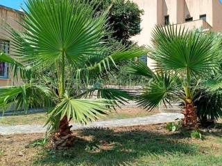Plot for construction, Sale, Skradin, Skradin