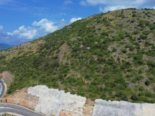 Agricultural plot, Sale, Dubrovnik - Okolica, Lozica