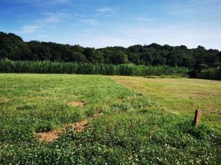 Plot for construction of mixed-use property, Sale, Sveti Martin na Muri, Gradiščak