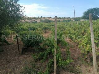 Agricultural plot, Sale, Šibenik - Okolica, Jadrtovac