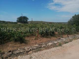 Agricultural plot, Sale, Šibenik - Okolica, Jadrtovac